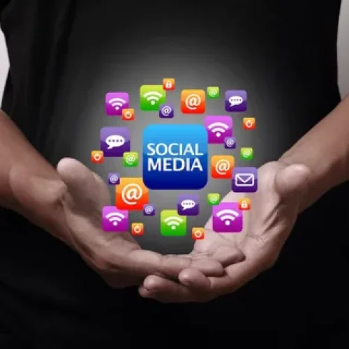 Social Media Performance Auditing